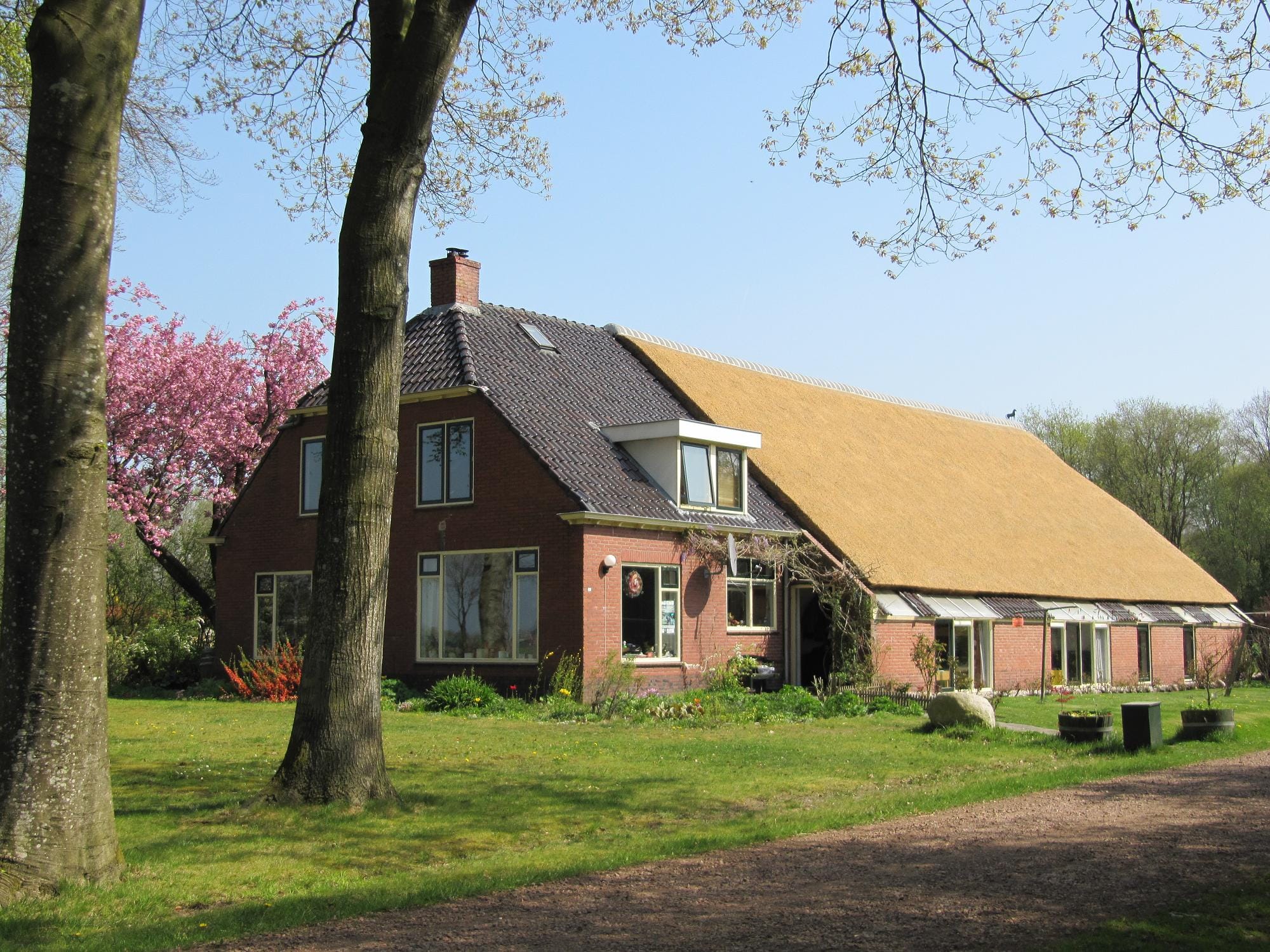 Hondencamping Evensterk, Een Drenthe accomodatie