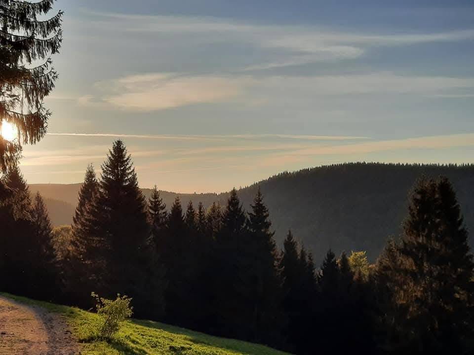 Vakantie met hond in Thüringen