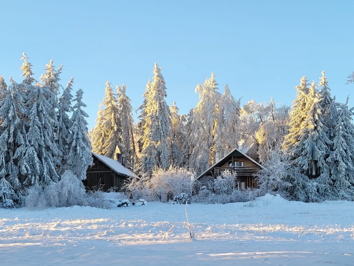 Thüringer Wald met hond
