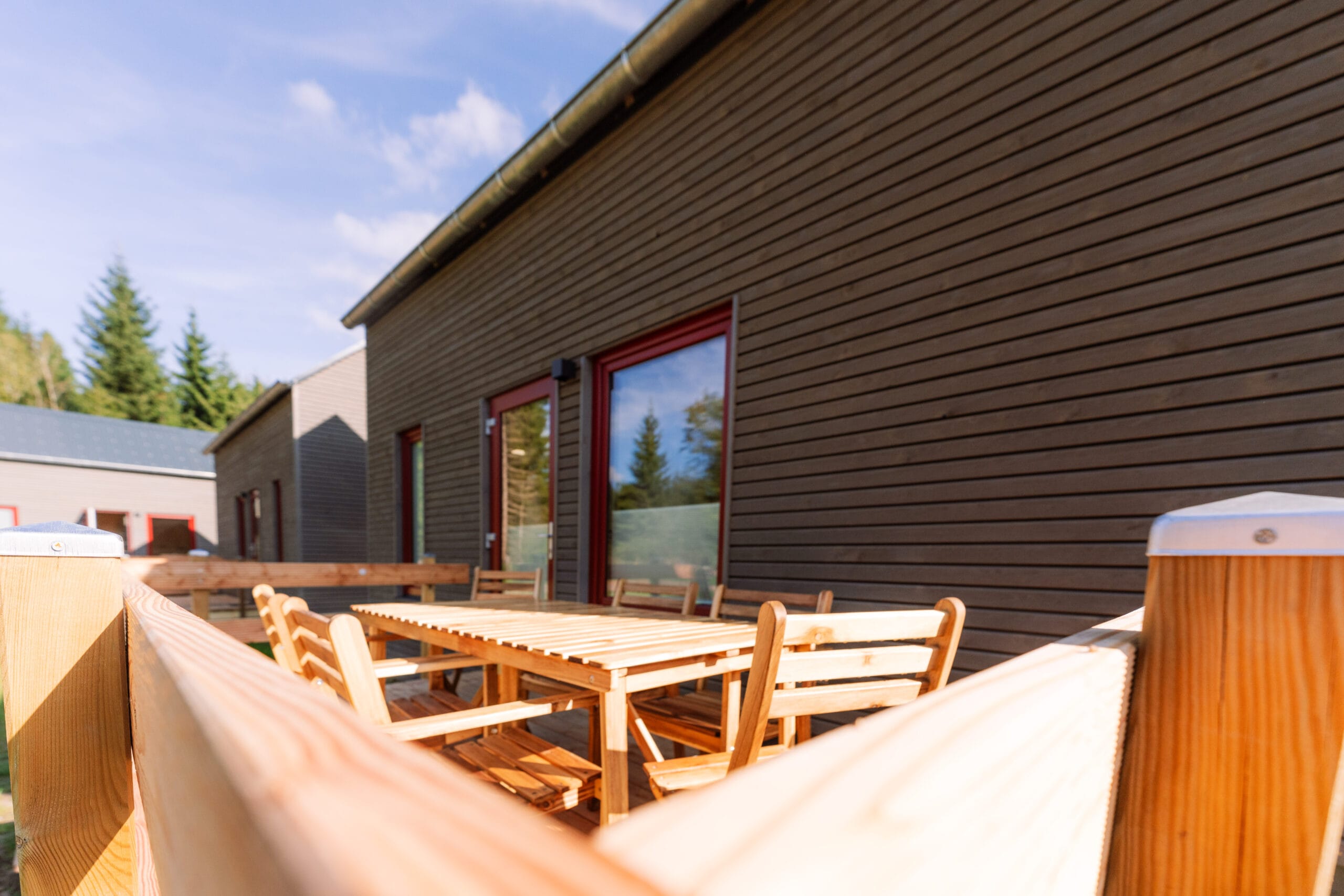 Hondvriendelijke camping